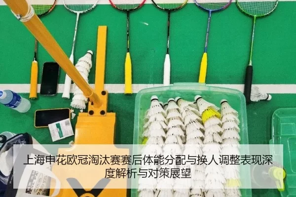 shang-hai-shen-hua-ou-guan-tao-tai-sai-sai-hou-ti-neng-fen-pei-yu-huan-ren-tiao-zheng-biao-xian-shen-du-jie-xi-yu-dui-2-649.jpg